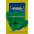 High Quality Chinese Spinach Seeds Leafy Vegetable Seeds For Planting-Fuji Organic Spinach